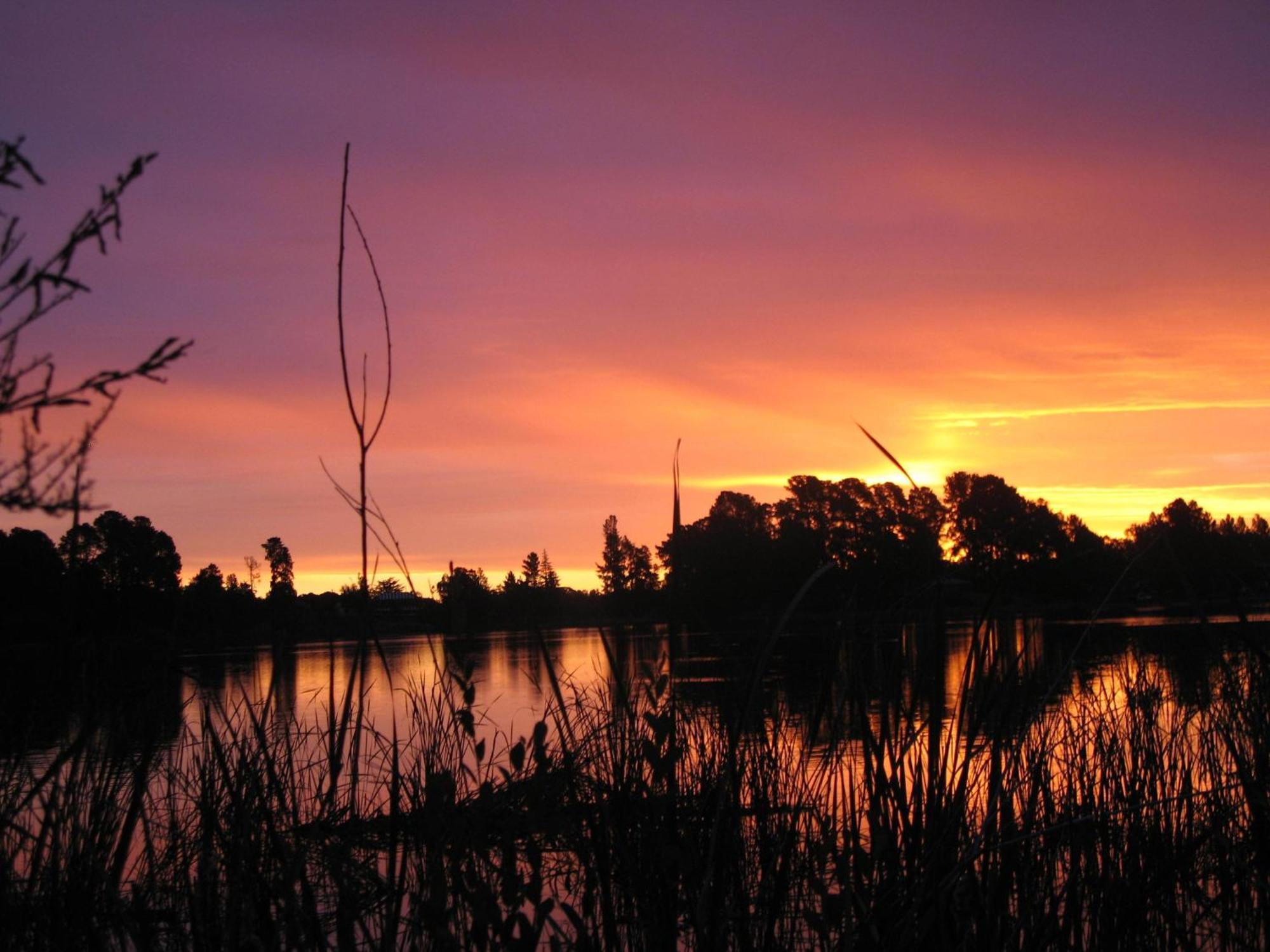 Beechworth Lake Sambell Caravan Park Екстериор снимка